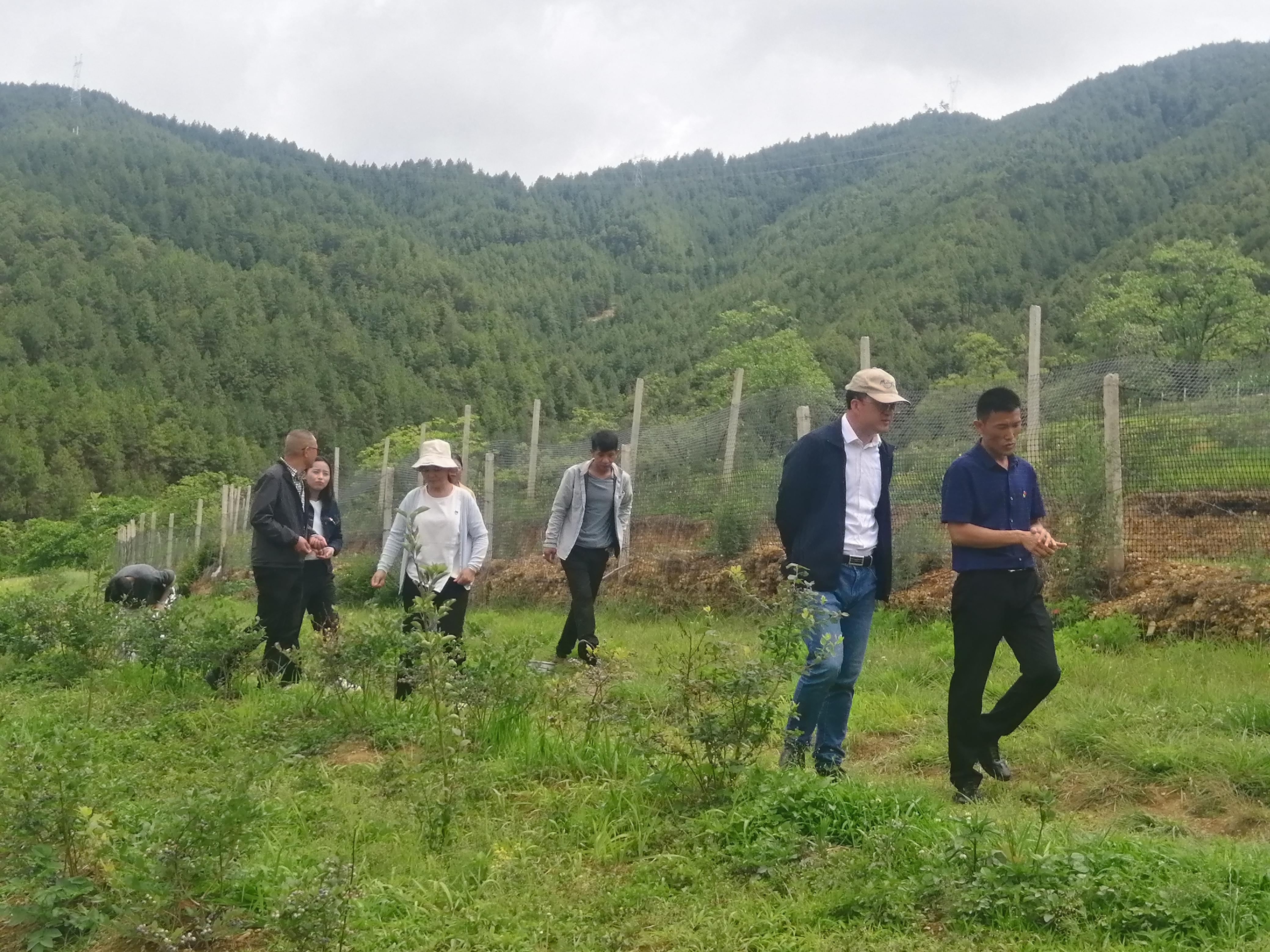 1626144694885042588.png 图片1.png