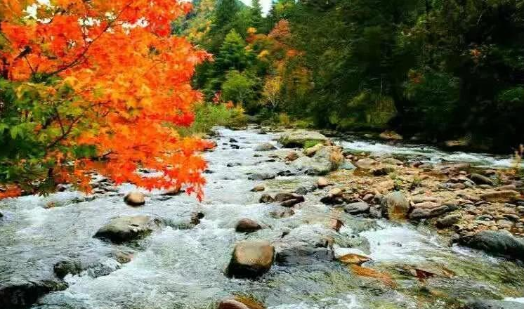 1628481073294092983.png 微信图片_20210809115009.png