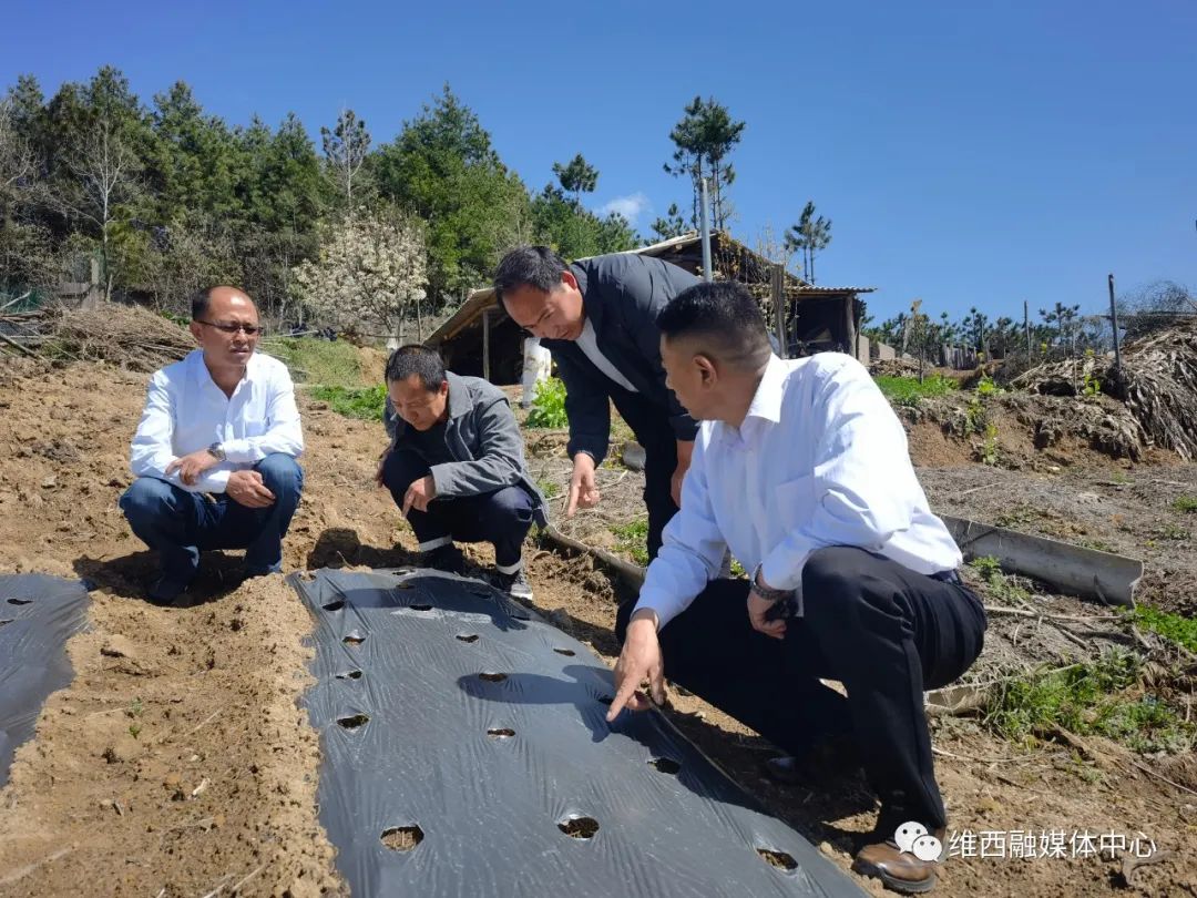 1649985418792078074.jpg 微信图片_20220415091318.jpg