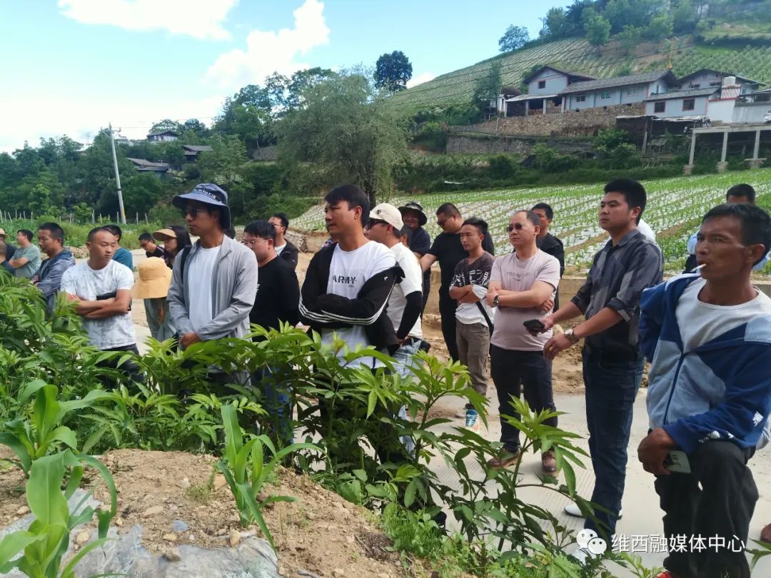 1653967440086056712.jpg 1.jpg