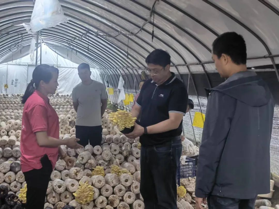 1656291448030064995.jpg 3.jpg