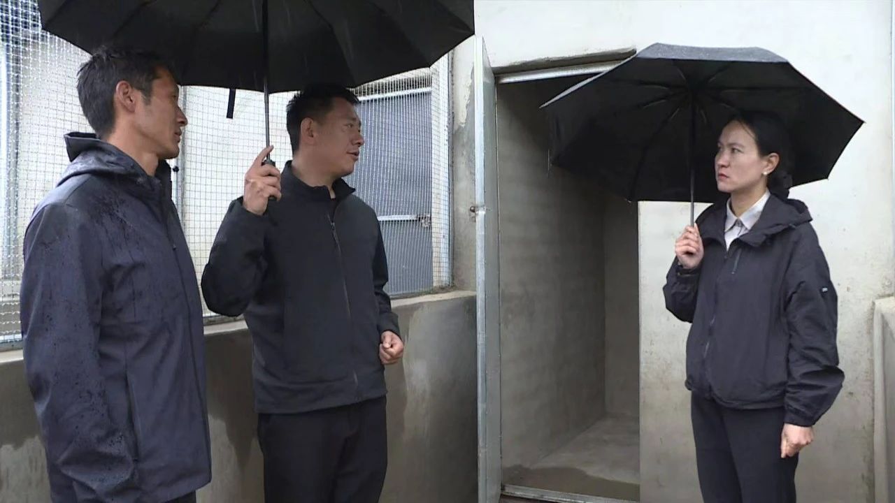 【工作调研】和维洁到保和镇、永春乡调研重点项目建设工作