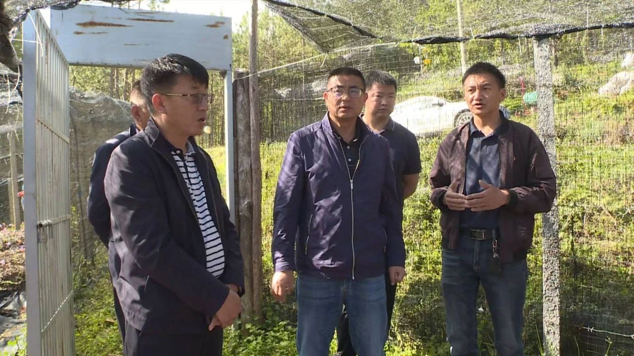 和雨到塔城镇调研