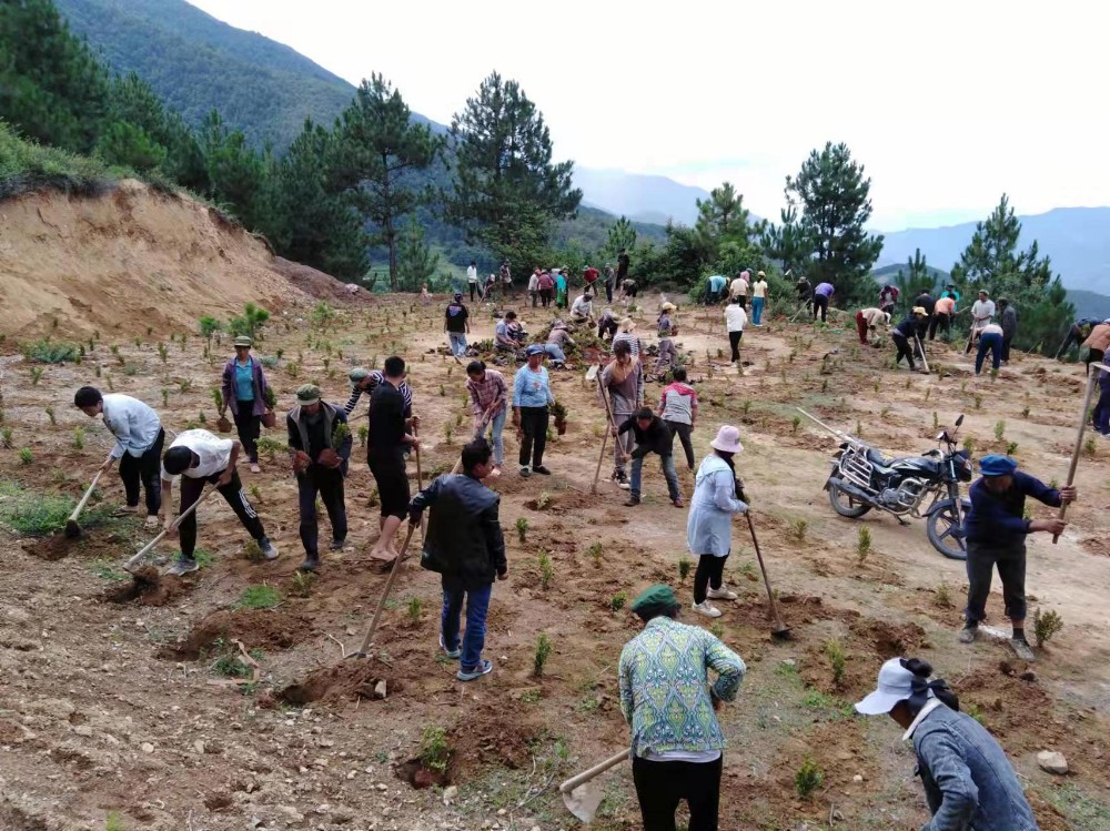 拉河柱村群众积极参加义务植树劳动。杨洪程.jpg