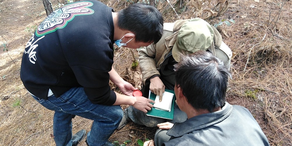 拉河柱村“两委”落实任务清单，到现场调解村与村之间的林地纠纷。杨洪程.jpg