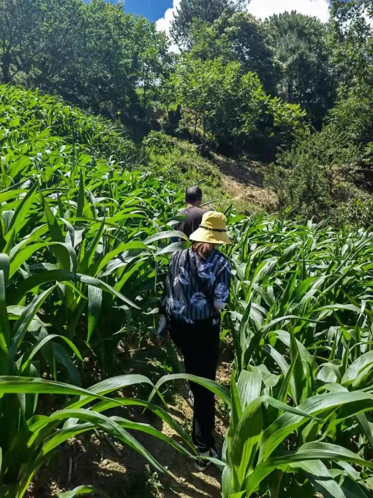 1634802024401088663.jpg 微信图片_20211021153411.jpg