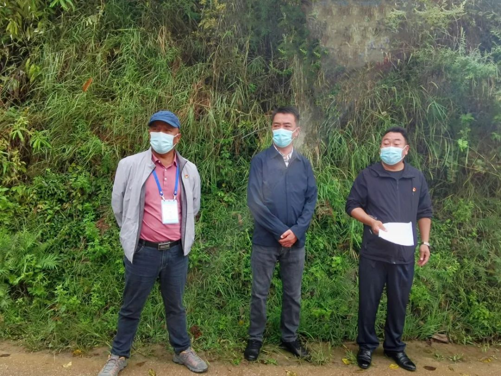 1666842725453043603.png 图片 11.png