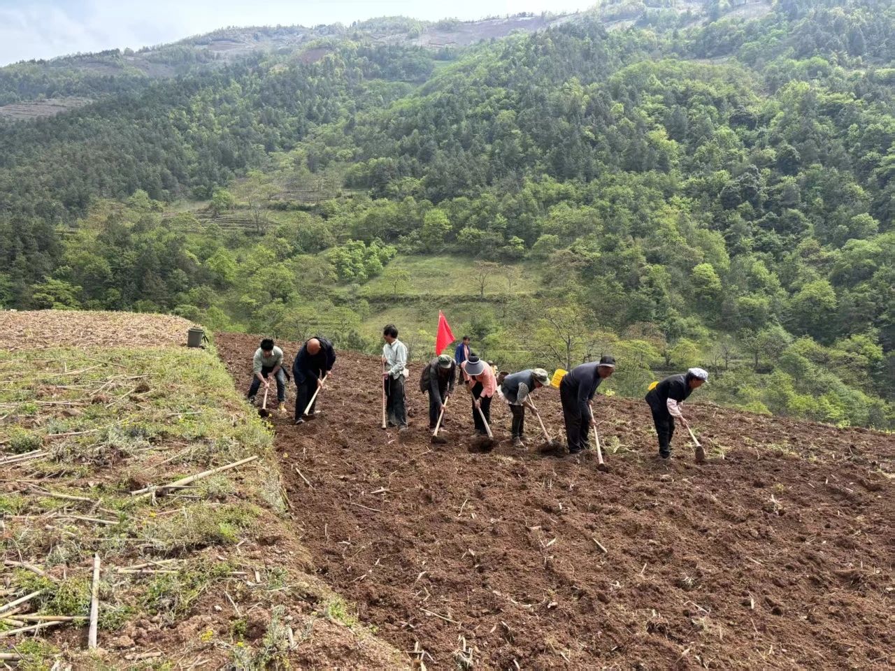 1745976162321019664.jpg 71a5008b85a4a78426acdea3fa593290.jpg