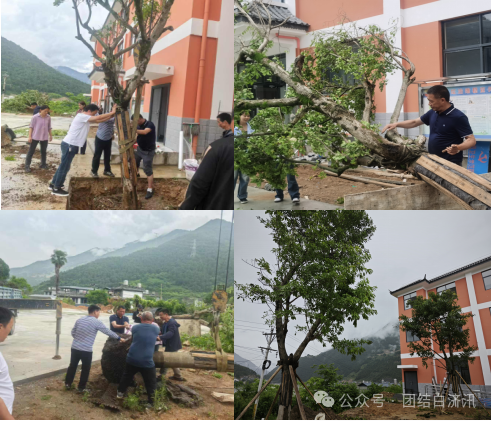 1750999222521047641.png 640.png