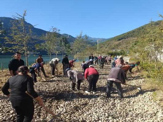 1763948769300047621.png 6e51fa6fbfe8eca85e097c874493c05e.png