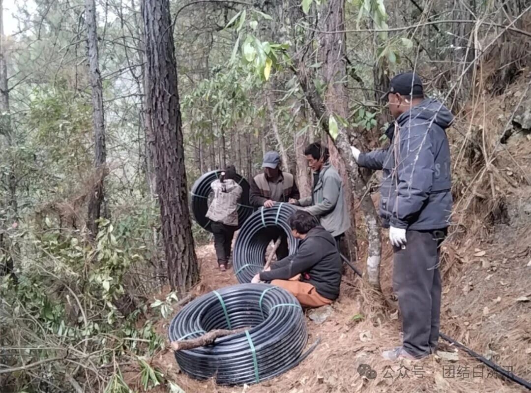 1767840680254030173.jpg 7d8eebc8b77ddd5a178cfc9fb756ca1e.jpg