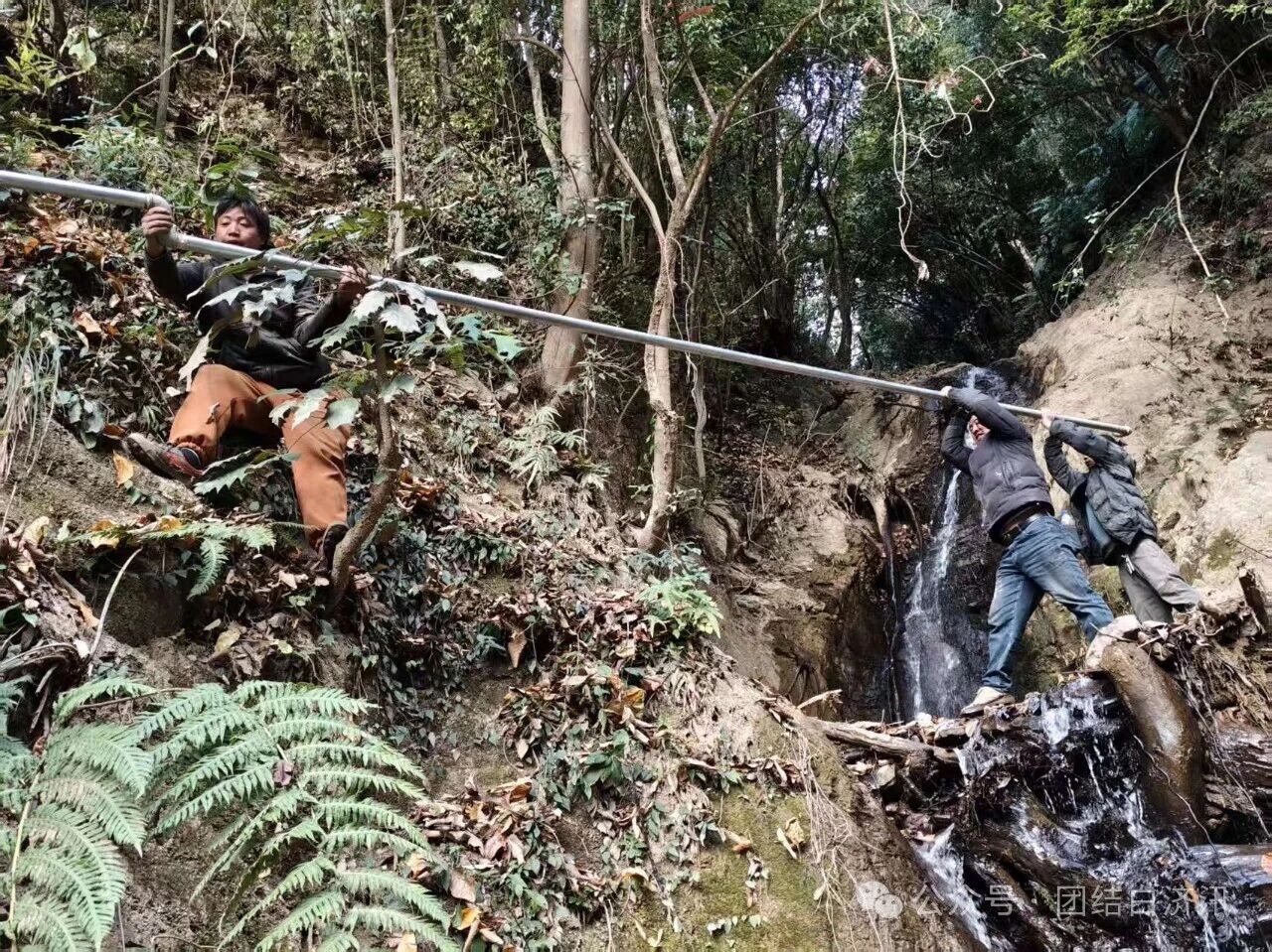 1767840713289057149.jpg 43d4dd50562e7815e1cd3d43c0792674.jpg