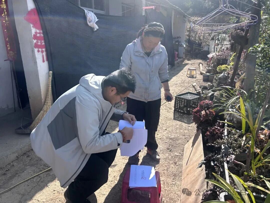 1775097486254005220.jpg 2eb652d1a6e68b99fbf583a860f0daf0.jpg