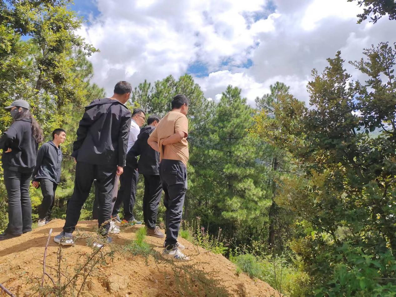 1727784543141070834.png 图片3.png