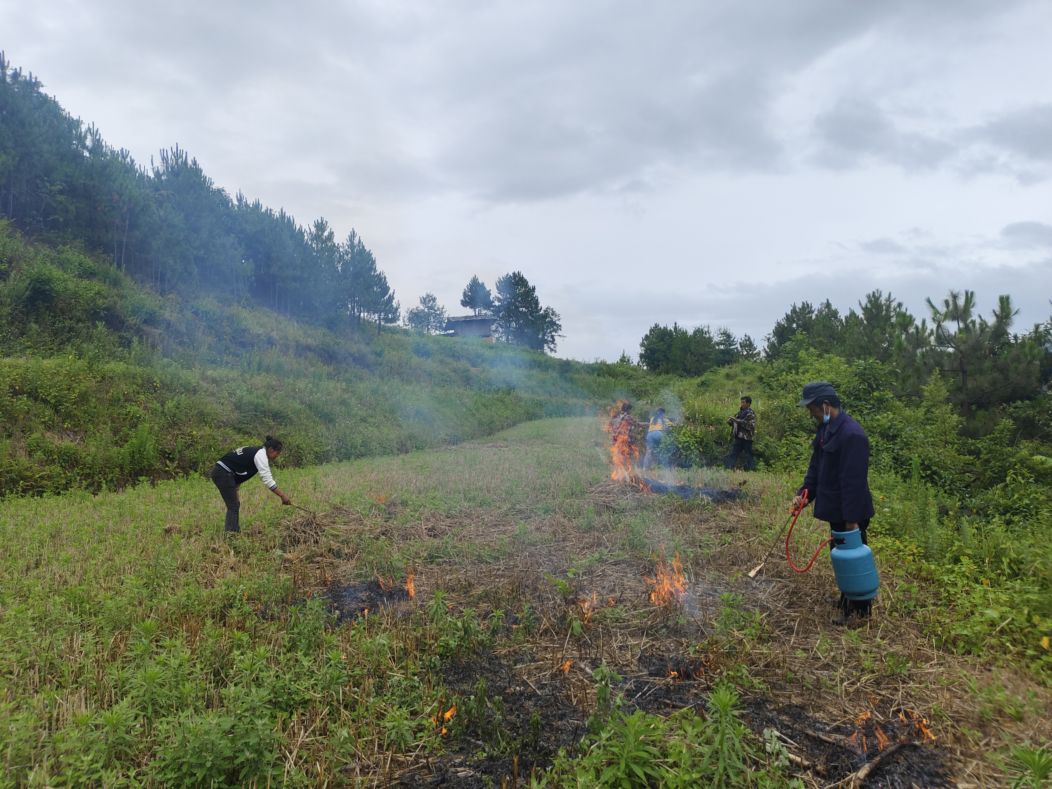 1721388028271055378.jpg 7f0d88d175ea572636a75be6c2f7853.jpg