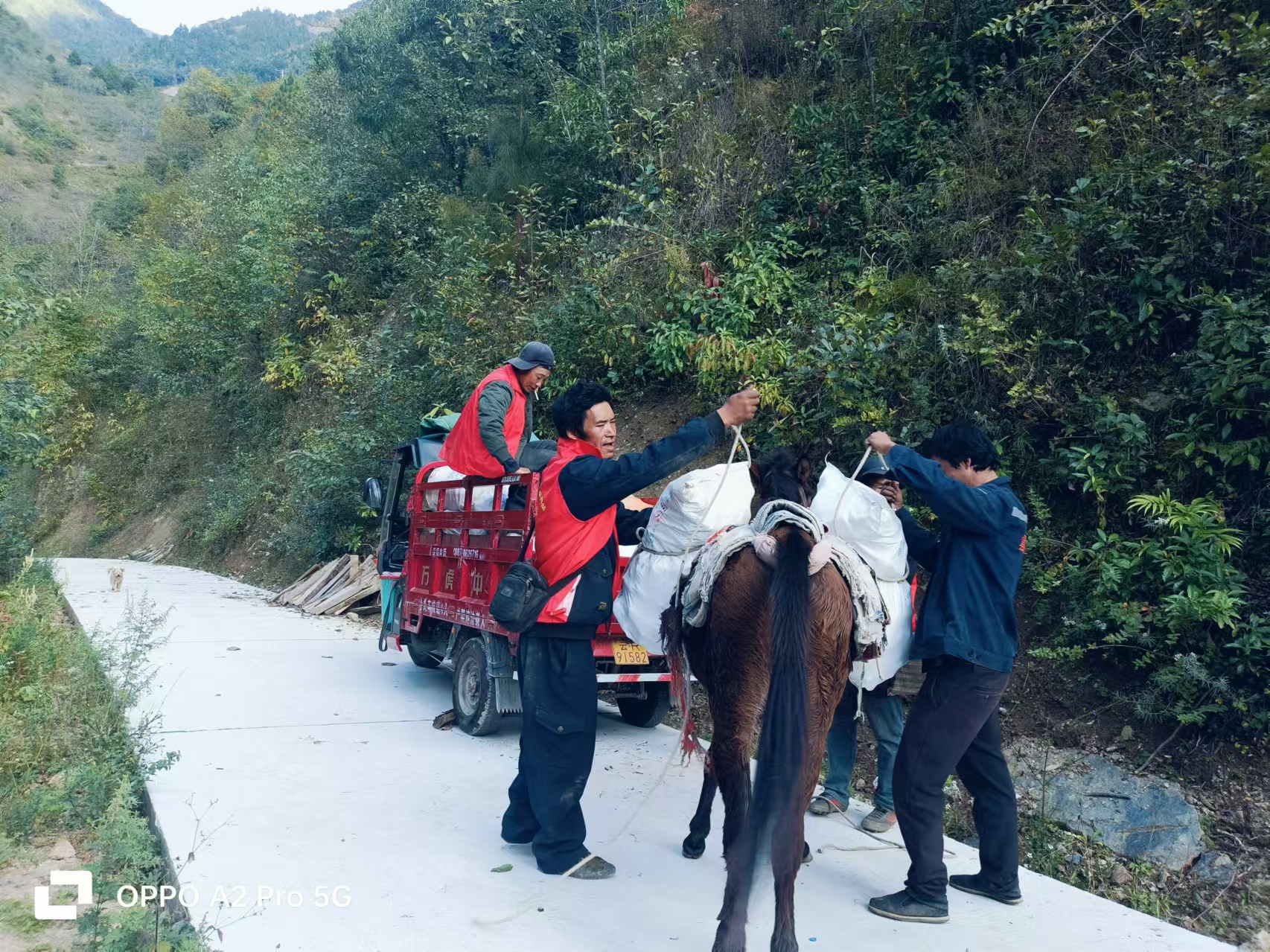 微信图片_20241105095427.jpg
