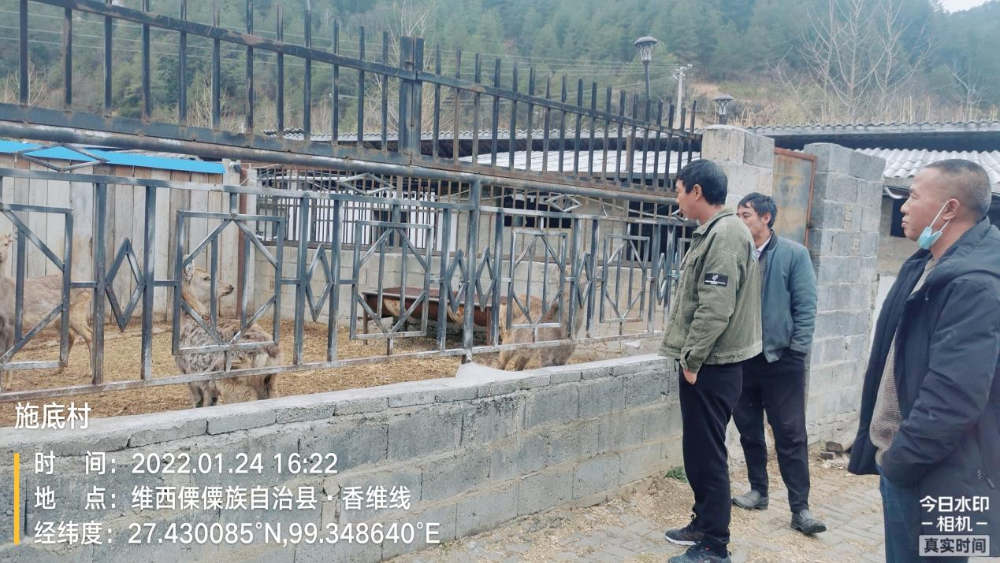 图片1.png