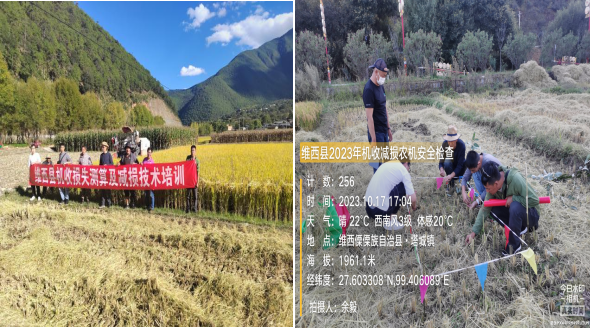 图片3.png