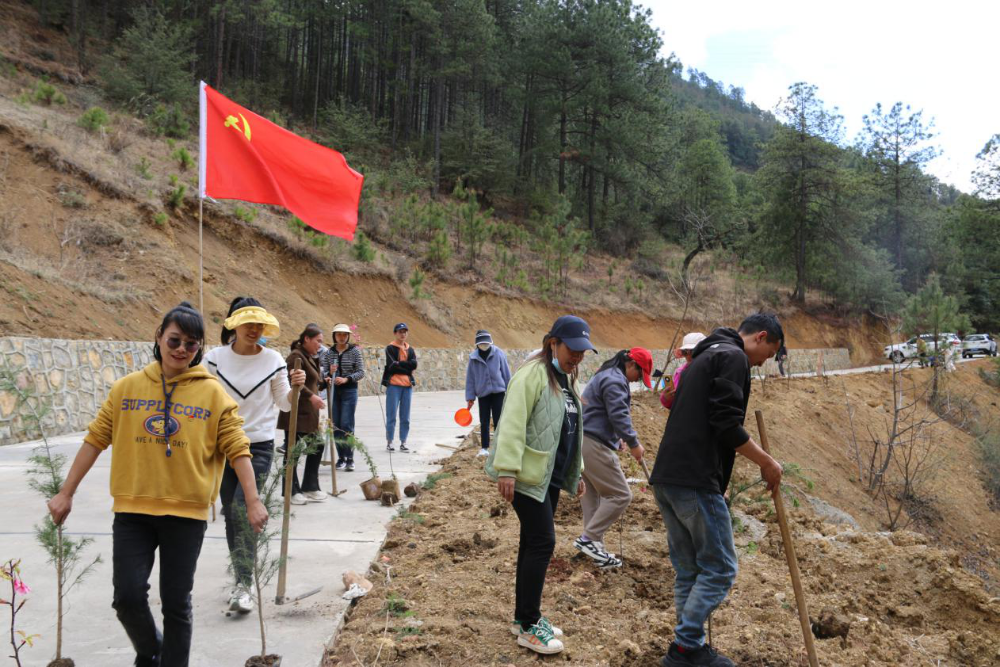 1680850293991064876.png 1680850293991064876.png