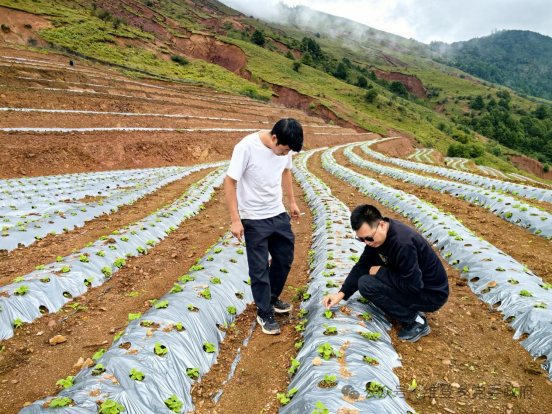 1760578864274078089.png 微信图片_2025-10-16_094950_262.png