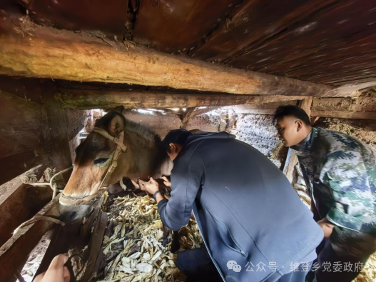 1760578867007037685.png 微信图片_2025-10-16_094954_036.png