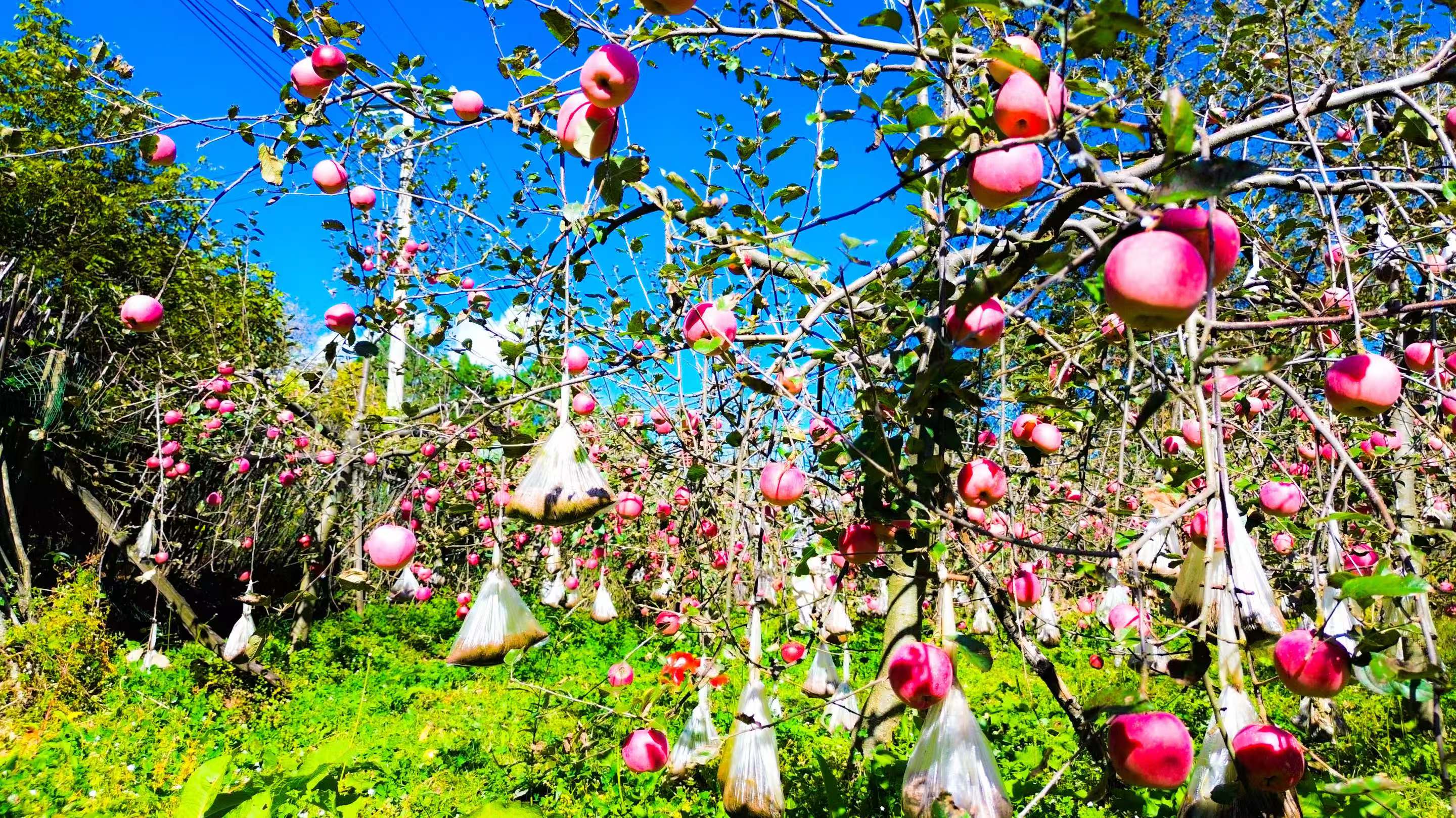 1761265907001039114.jpg 89b7a48ccb48bc20b3ee429fa509e775.jpg