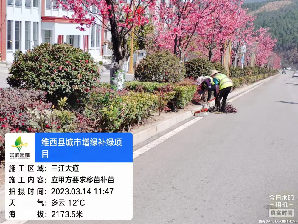 1679452754243071931.png 图片1.png