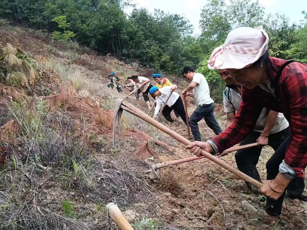 webwxgetmsgimg (8).jpg