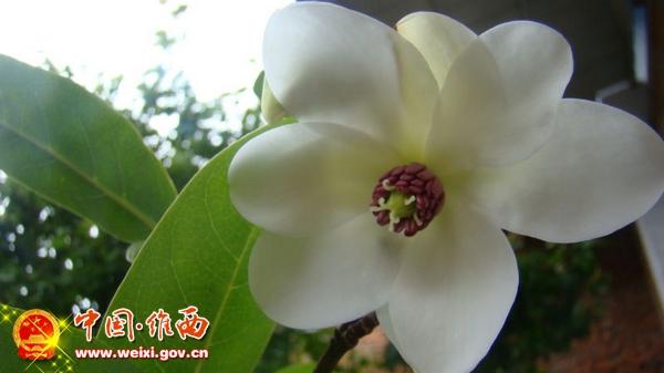 201006131109355176.jpg