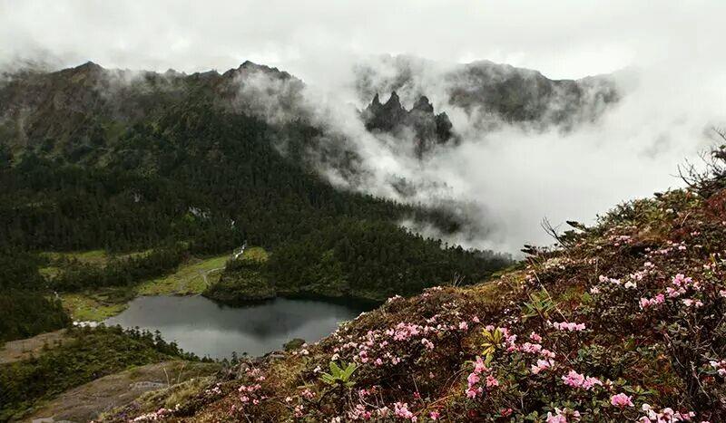 201609221045361553.jpg
