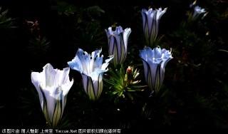 201307051124334863.jpg