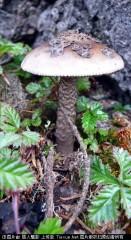 201307051124332215.jpg