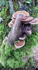 201307051124334727.jpg