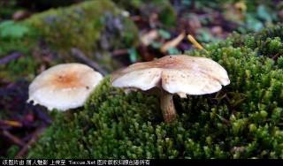 201307051124362200.jpg