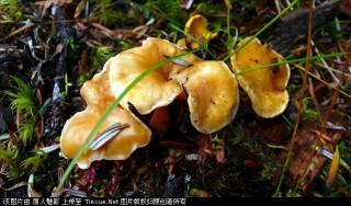 201307051124360696.jpg