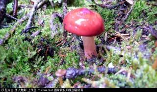 201307051124367930.jpg
