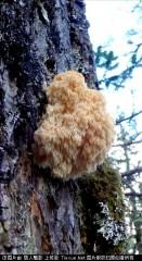 201307051124355970.jpg