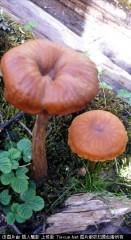 201307051124350108.jpg