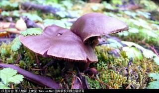 201307051124351065.jpg