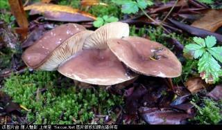 201307051124350938.jpg