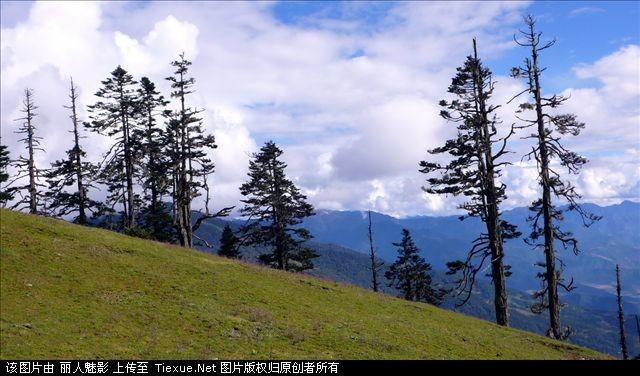 201307051119446655.jpg