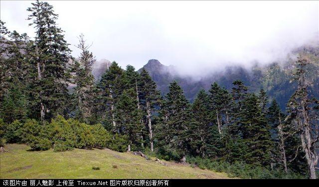 201307051119446874.jpg