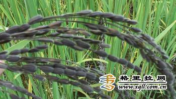 201307081518143016.jpg