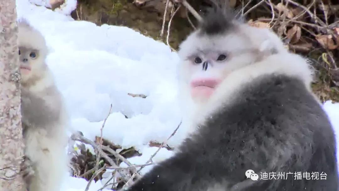 微信图片_20220209093238.jpg