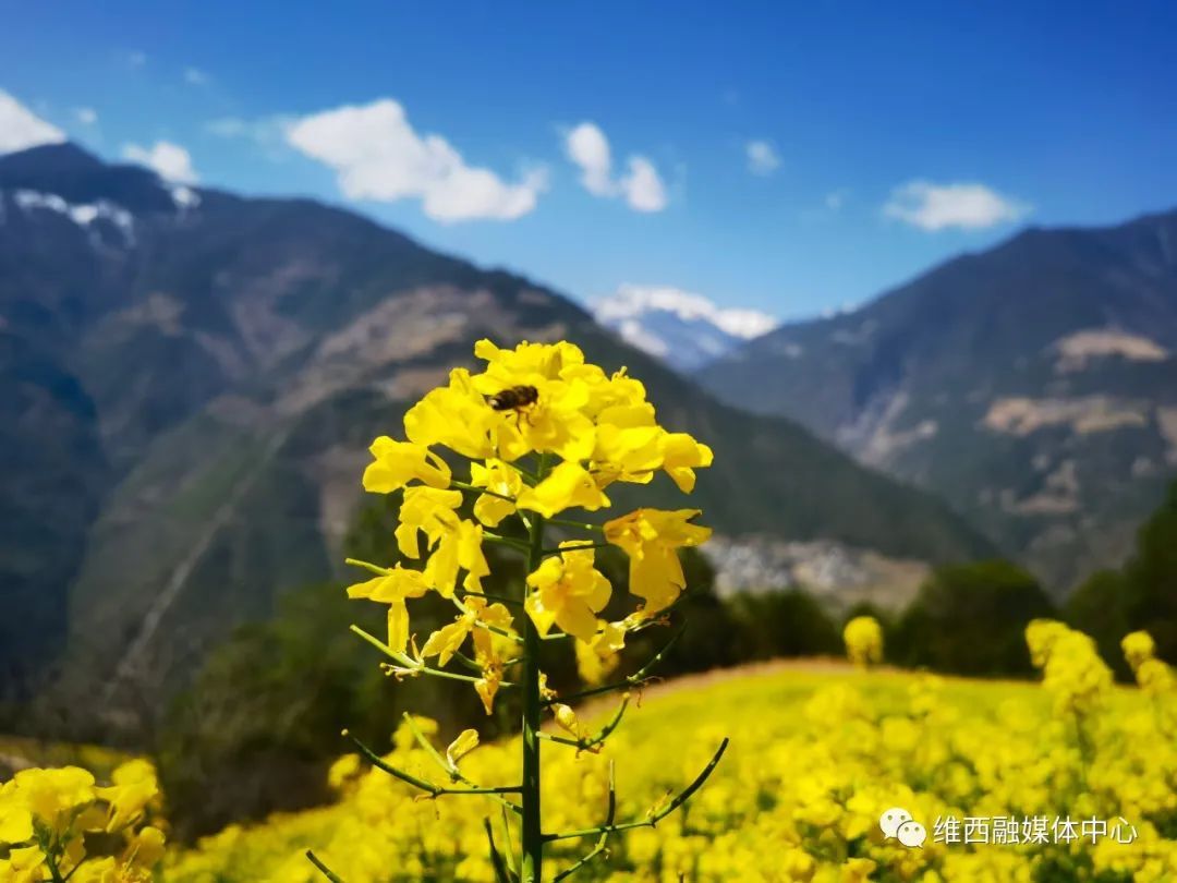 微信图片_20220308092855.jpg