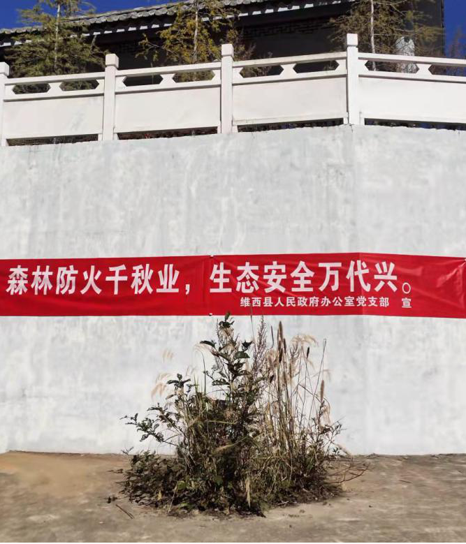 1669598736471053507.png 政府办2.png