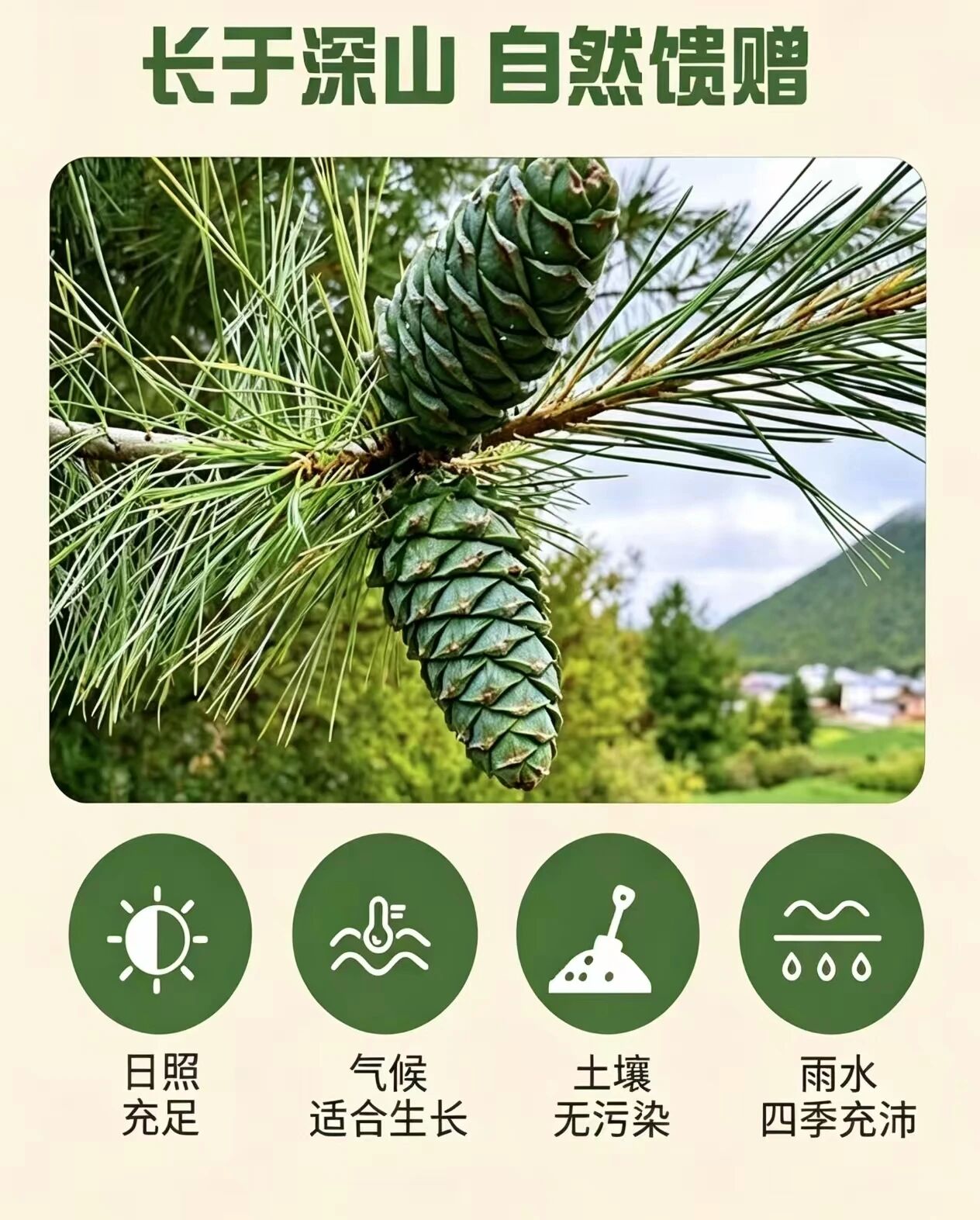 1788406467472081690.jpg 微信图片_2026-09-03_113611_487.jpg