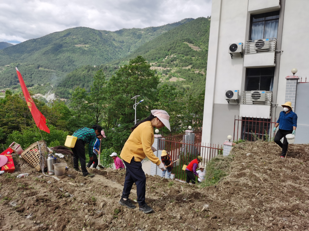 1652255644492017483.png 图片1.png