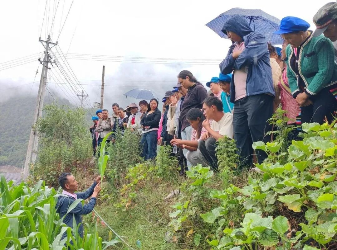 1781601389661019579.png 图片2.png